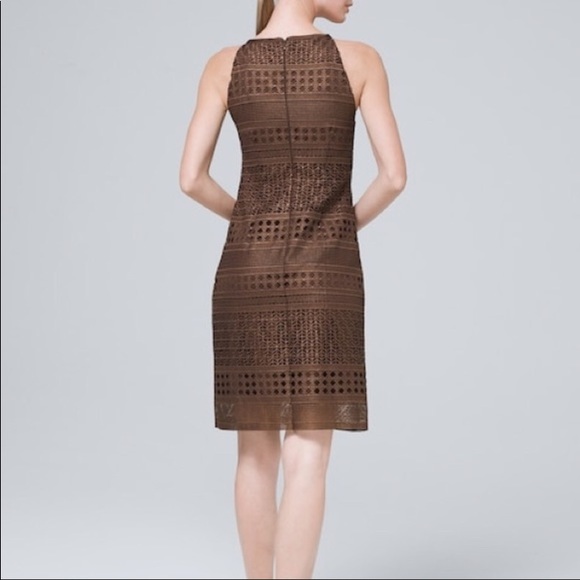 WHBM NWT Size 2 Copper Dress-Ret $180 Beautiful!!! - Picture 2 of 16